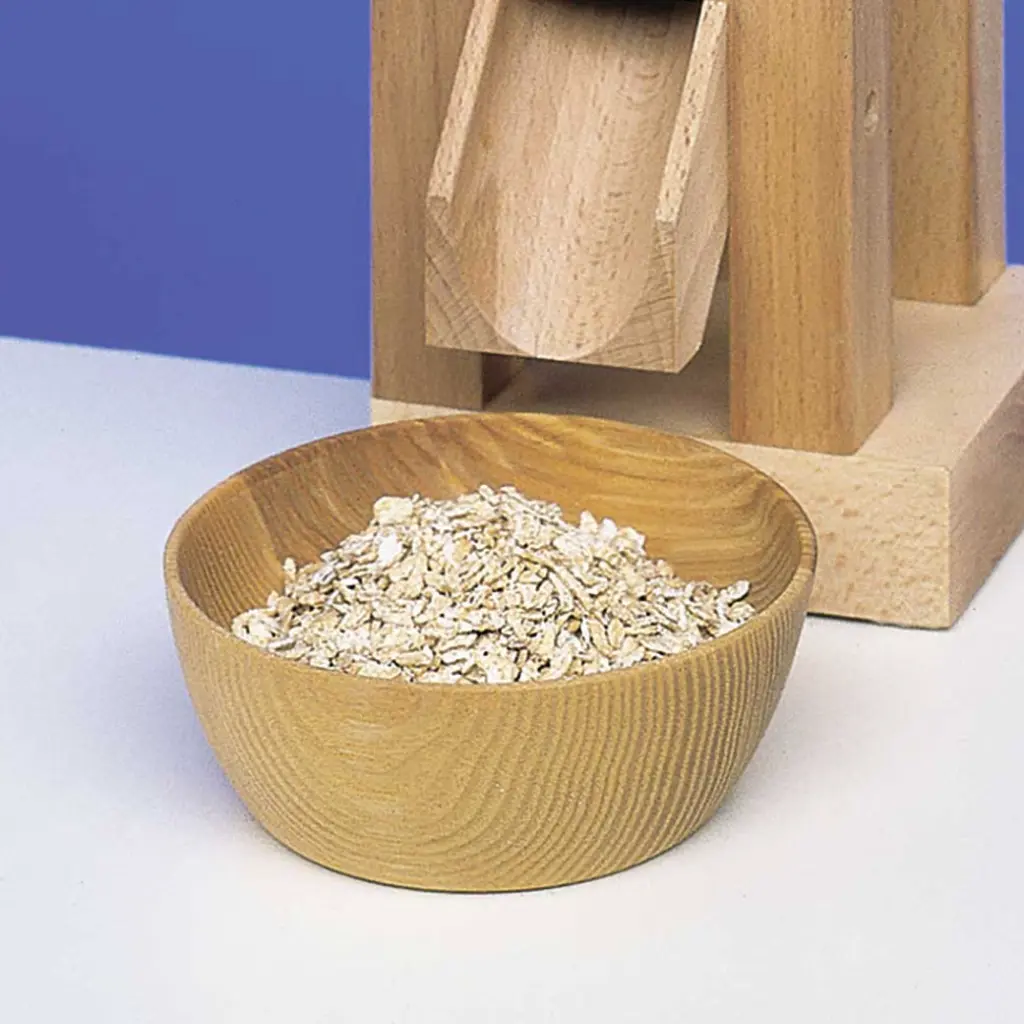 Flingpress Anni.webp