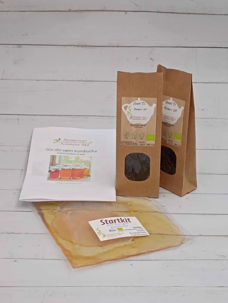 kombucha startkit med svart- och grön te