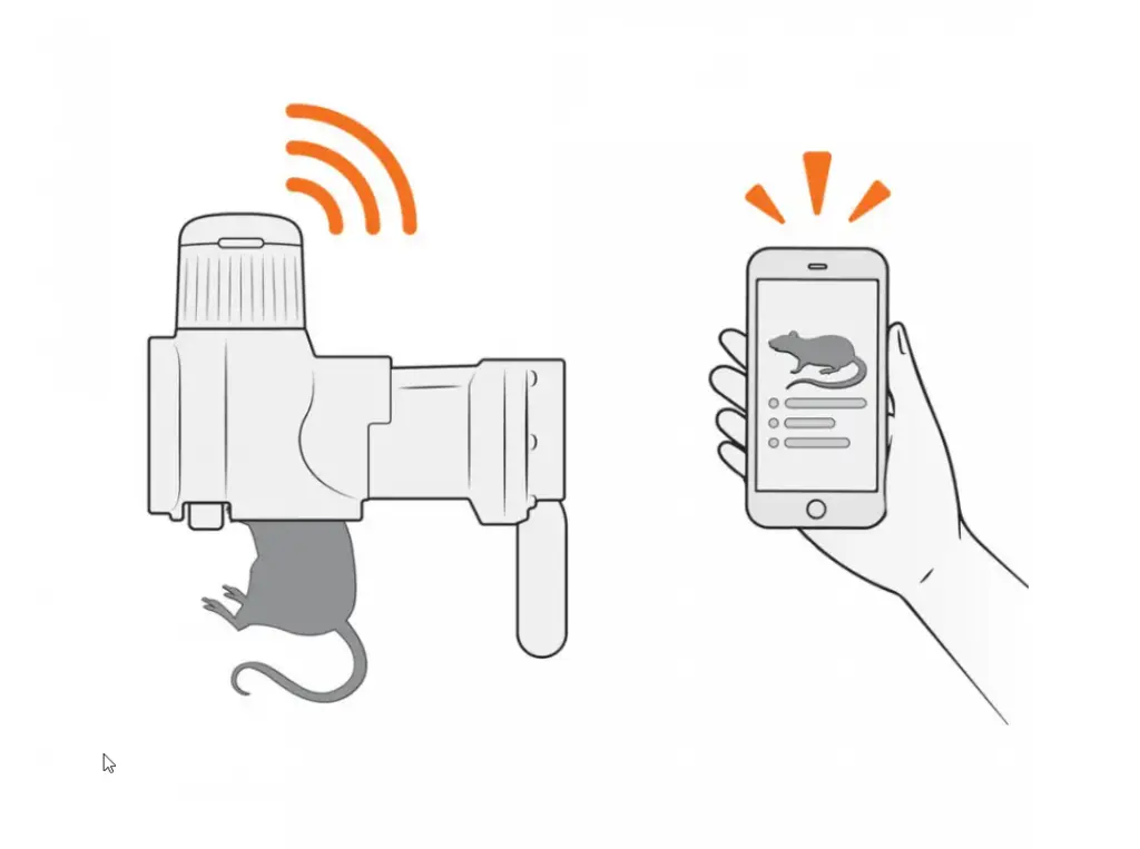 a24 smart cap illustration.webp