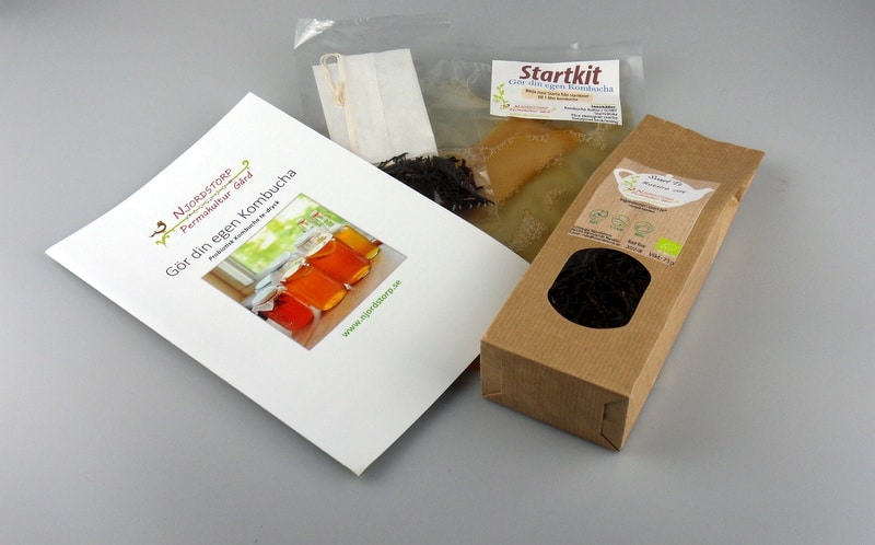 [SKbigfive] Startkit Kombucha inkl. The Big Five teer