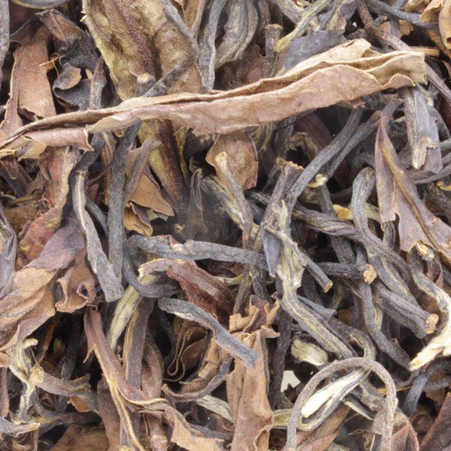 [NTEG305] Organic oolong tea