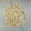 Torkade Koji Bönor på åkerbönor