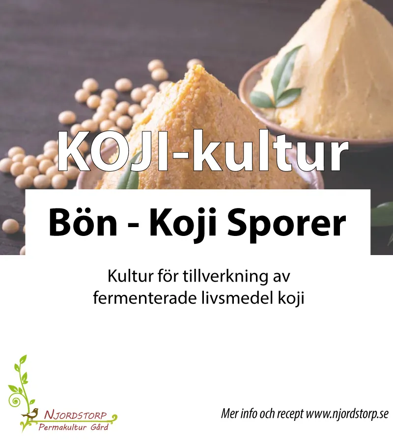 [KULkoji25] Koji startkultur till bönor (25 g)