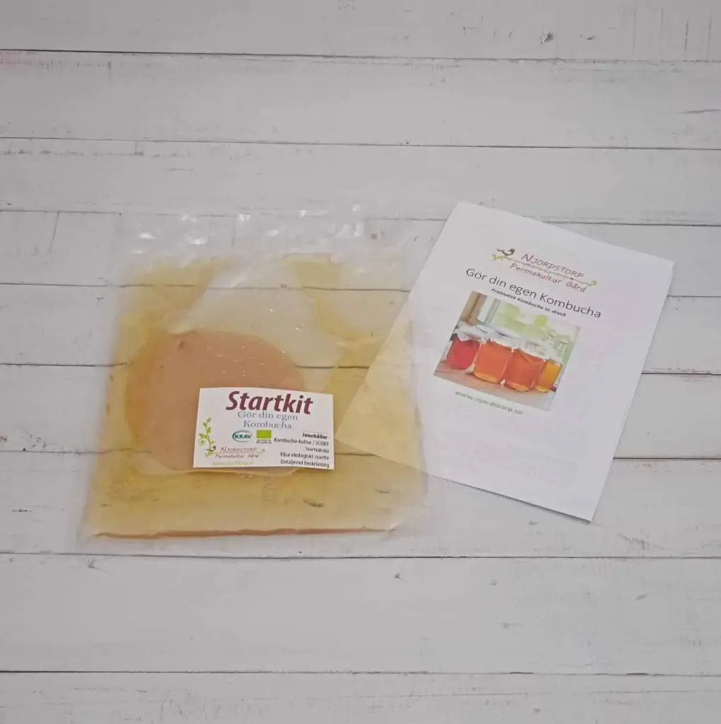 [SKkombucha1liter-standard] Starter kit Kombucha (up till 1 liter, Without)