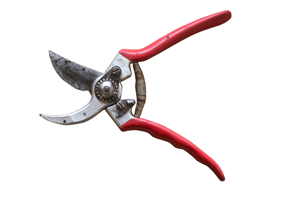 [SlipaSAX-Sekatör] Sharpening of garden secateurs